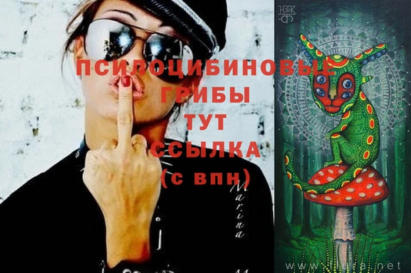 бутират Богородицк